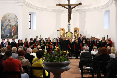 KOMORNI ZBOR FRAN GERBIČ LETNI KONCERT 69 FOTO LJUBO VUKELIČ